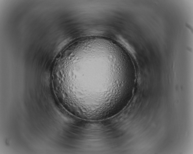 X0000091370107200708241343