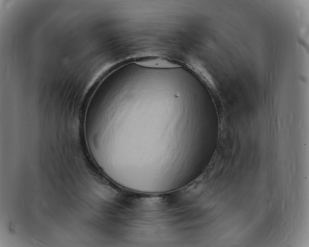 X0000091370108200708241343