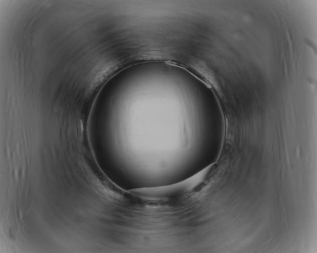 X0000091370109200708241342