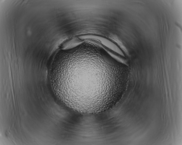 X0000091370110200708241342