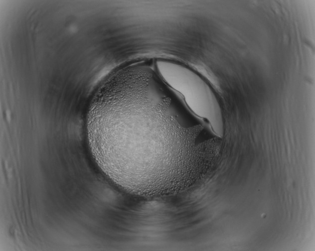 X0000091370111200708241342