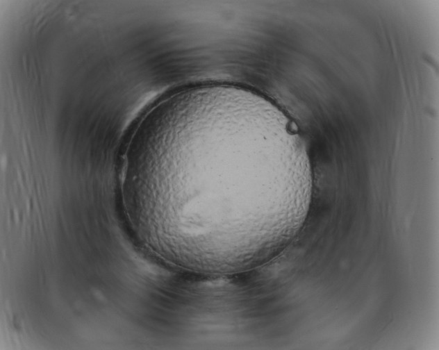 X0000091370112200708241342