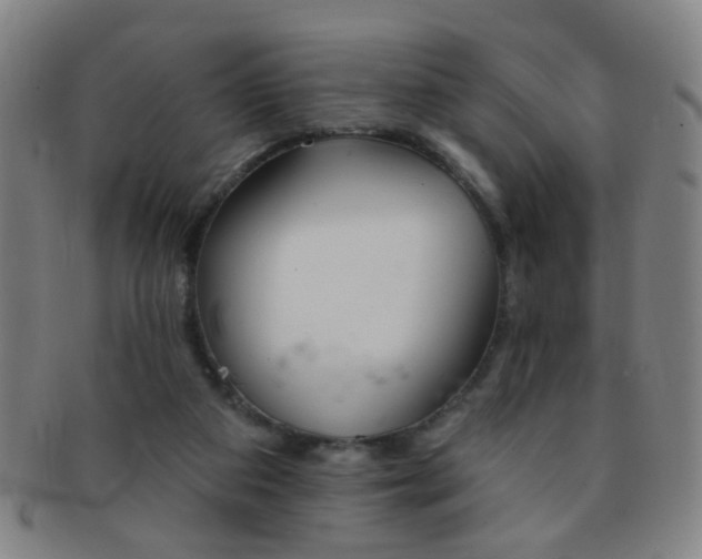 X0000091370113200708241342