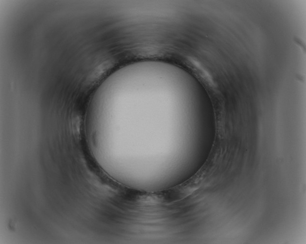 X0000091370115200708241342