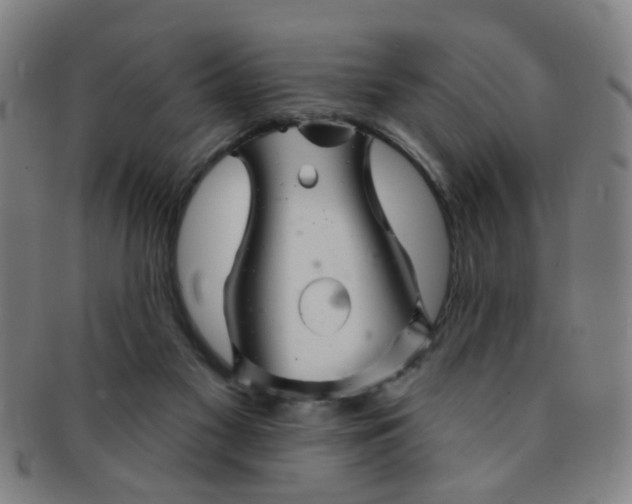 X0000091370117200708241342