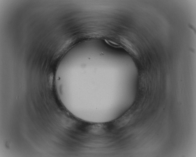 X0000091370118200708241342