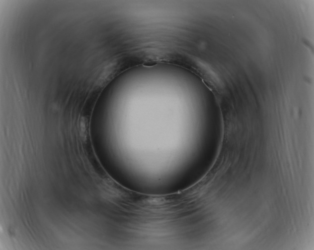 X0000091370121200708241342