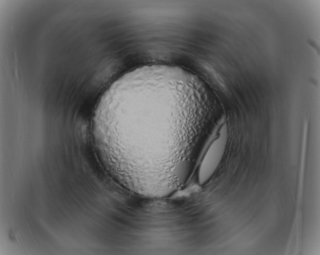 X0000091370123200708241342