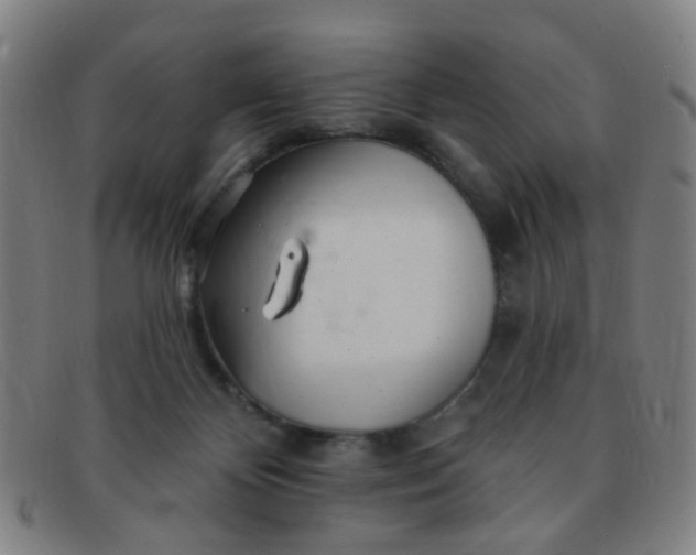 X0000091370124200708241342