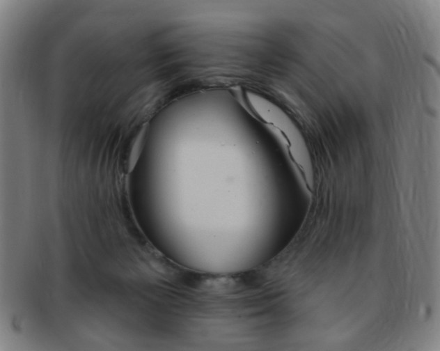 X0000091370125200708241342