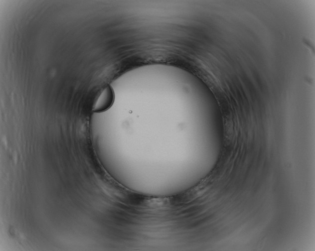 X0000091370126200708241342