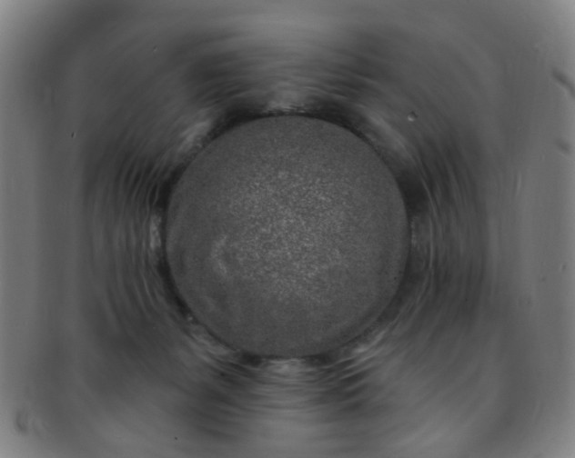 X0000091370127200708241342