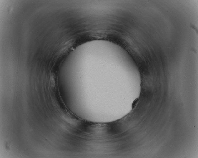 X0000091370128200708241342