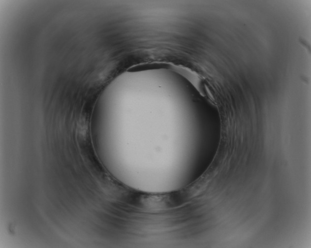 X0000091370129200708241342