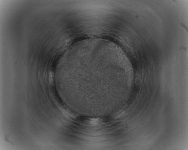 X0000091370130200708241342