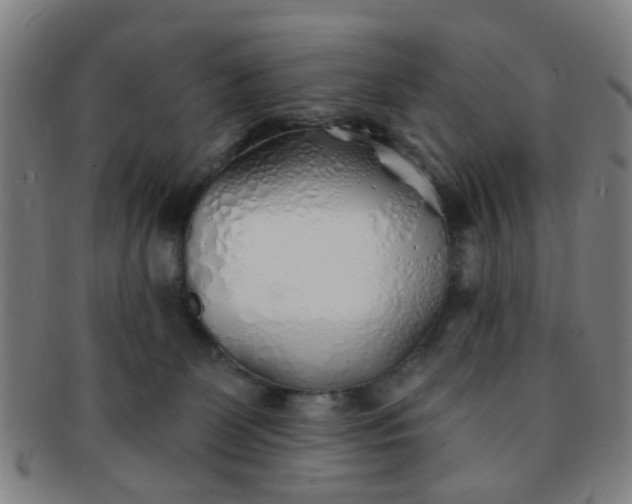 X0000091370131200708241342