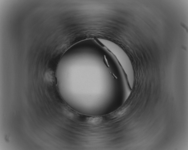 X0000091370135200708241342