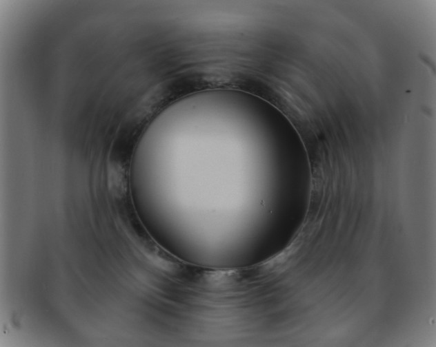 X0000091370136200708241342