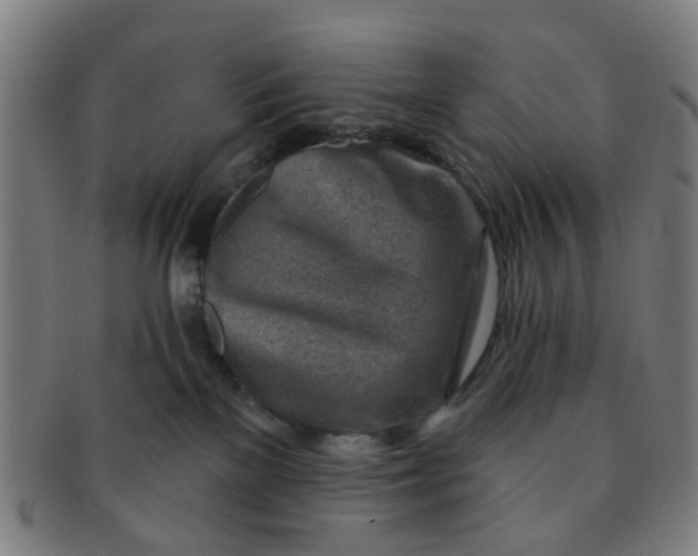 X0000091370137200708241342