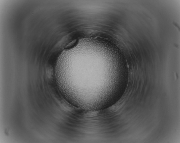 X0000091370138200708241342