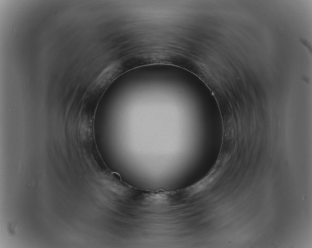 X0000091370140200708241342