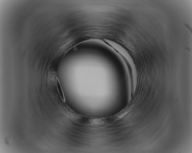 X0000091370141200708241342