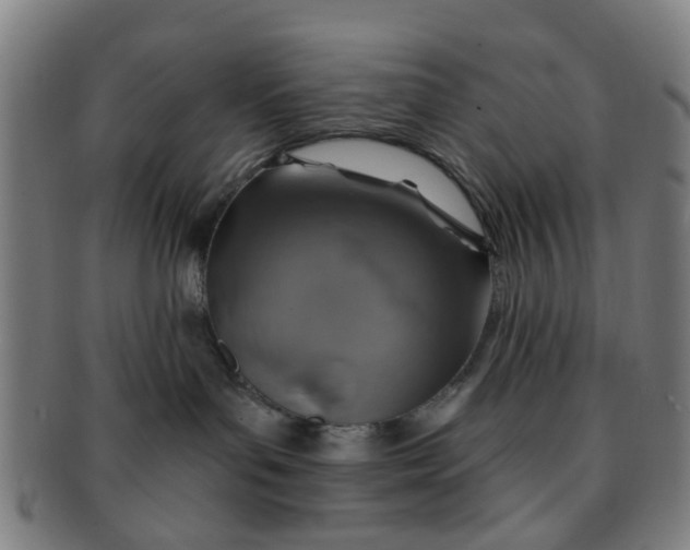 X0000091370143200708241342