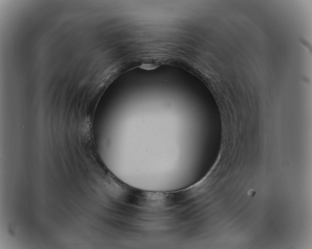 X0000091370144200708241342