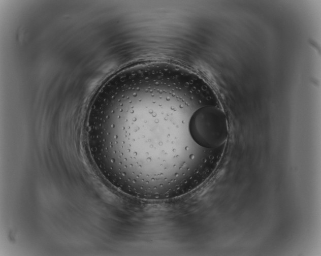 X0000091370145200708241341