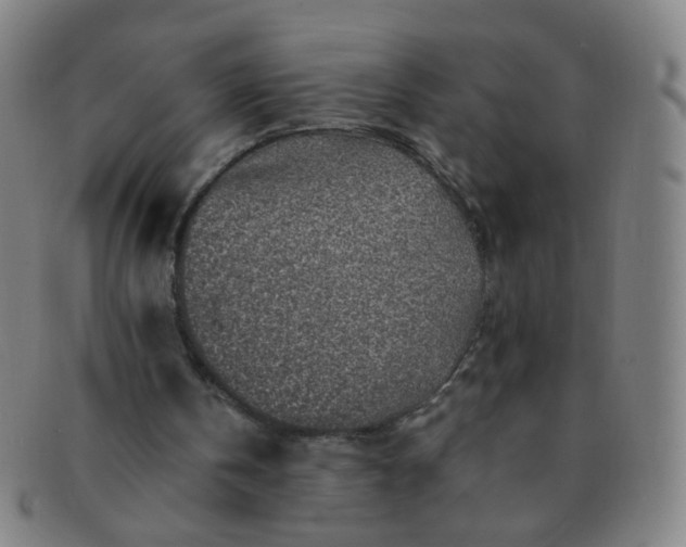 X0000091370146200708241341