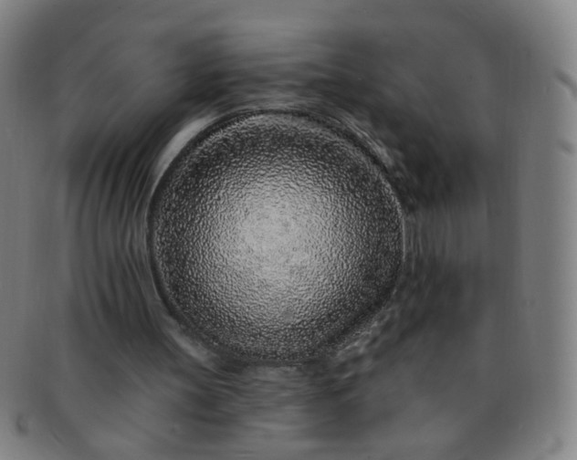 X0000091370147200708241341