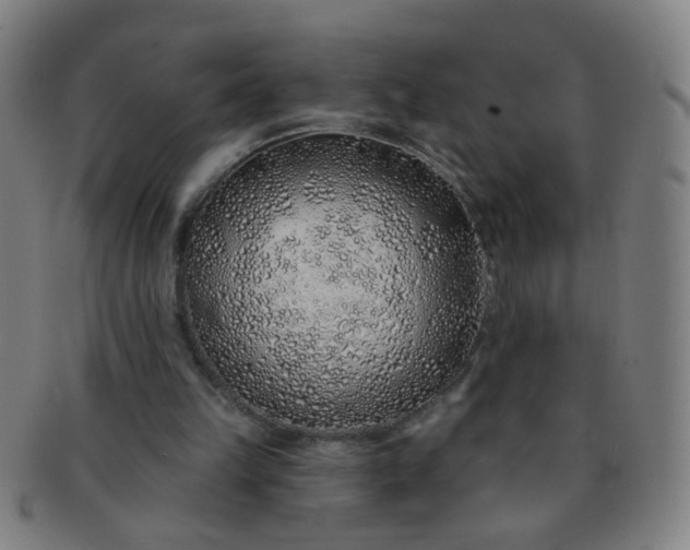 X0000091370149200708241341