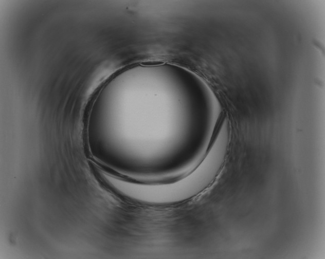 X0000091370150200708241341