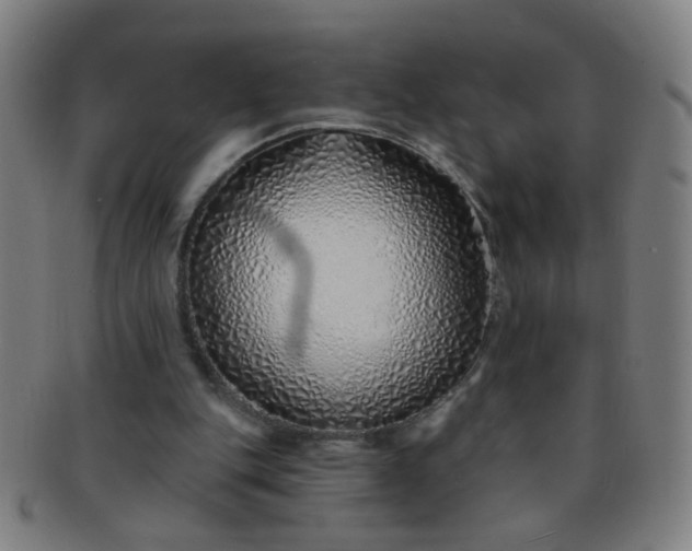 X0000091370151200708241341