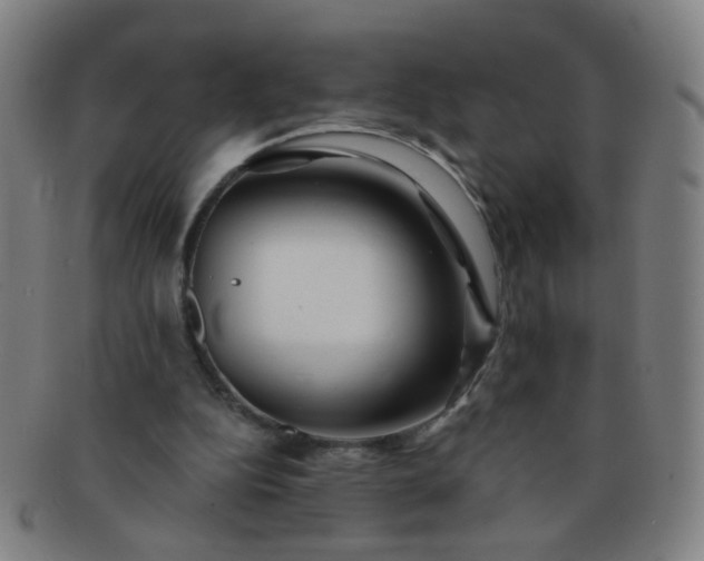 X0000091370152200708241341