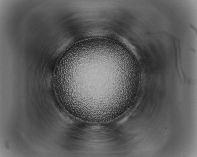 X0000091370153200708241341