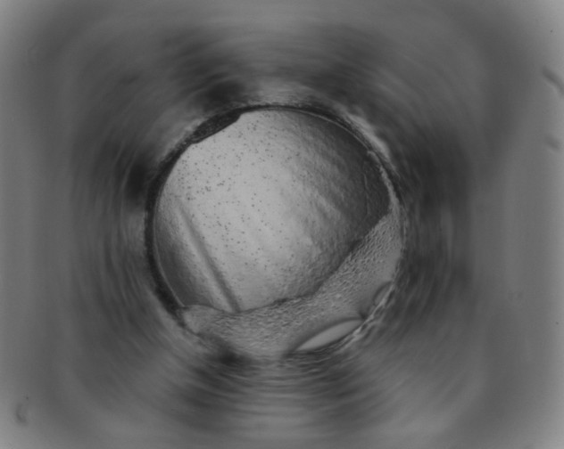 X0000091370154200708241341