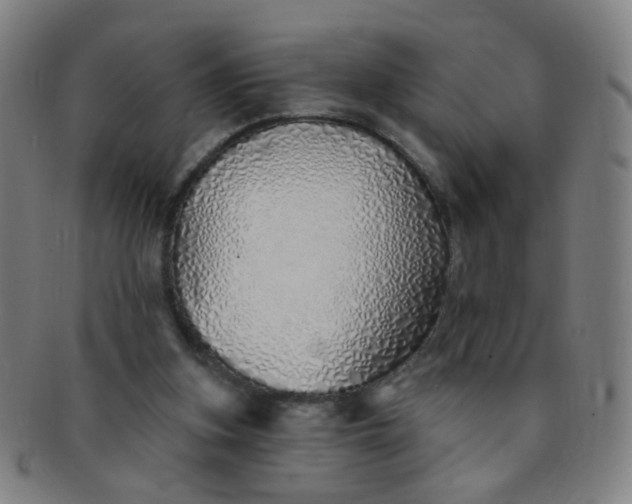 X0000091370155200708241341