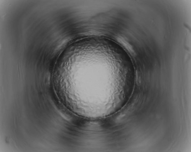 X0000091370157200708241341