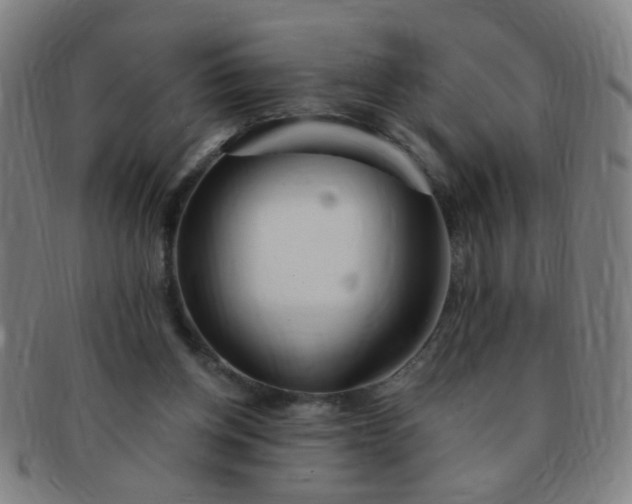 X0000091370158200708241341