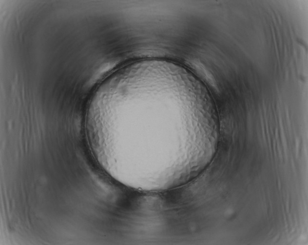 X0000091370159200708241341