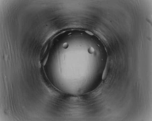 X0000091370160200708241341