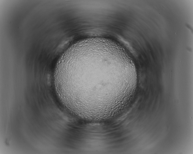 X0000091370161200708241342