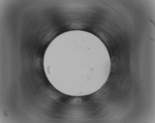 X0000091370162200708241342