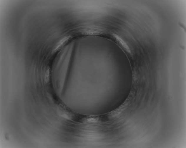 X0000091370163200708241342