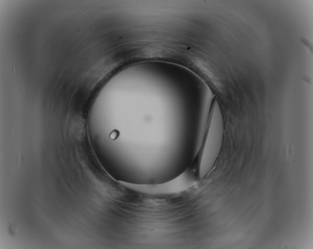 X0000091370164200708241342