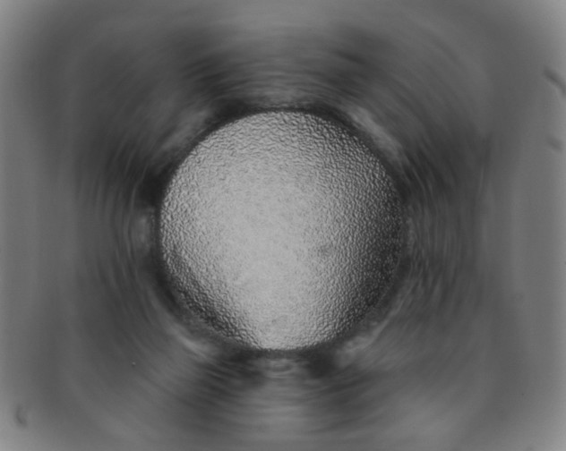 X0000091370165200708241342