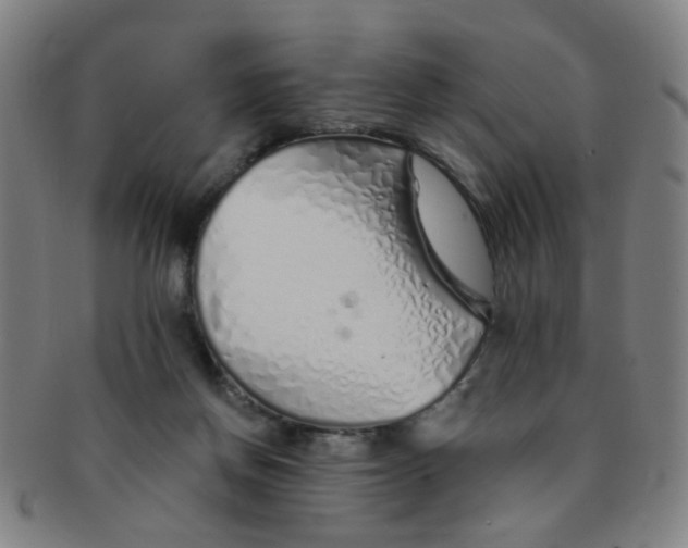 X0000091370166200708241342