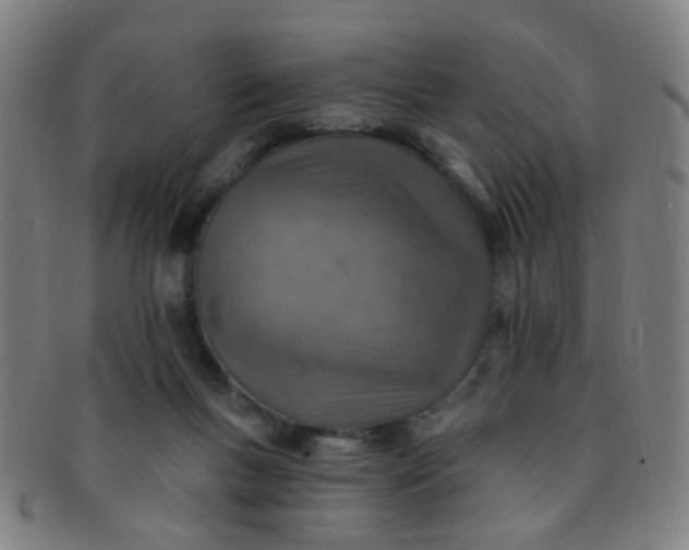 X0000091370167200708241342