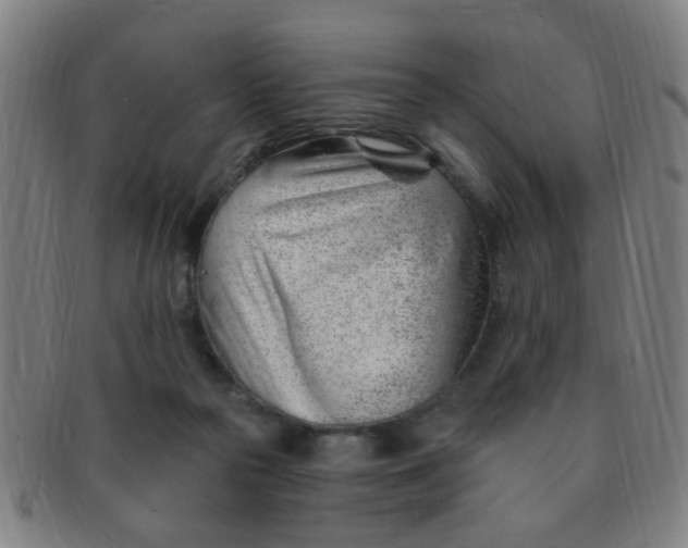 X0000091370169200708241342